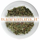 PIANTA OFFICINALE Fragola foglie tagl.tisana (Fragaria vesca L.) 500 gr
